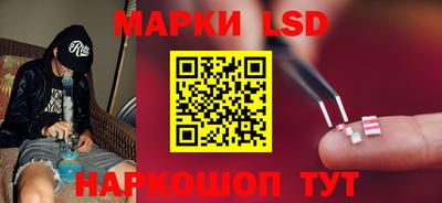 гидра Моздок