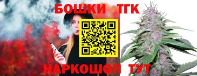 гидра Моздок