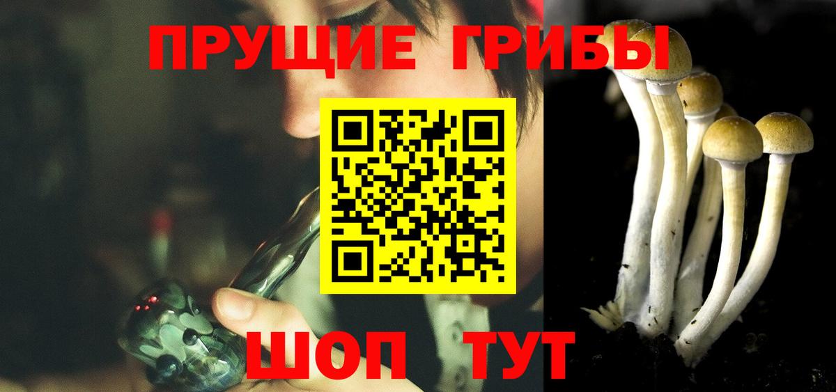 Галлюциногенные грибы прущие грибы Тулун