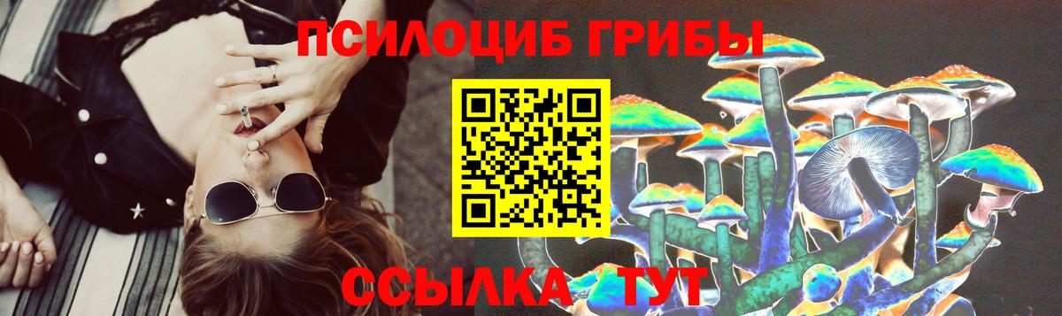дарнет шоп  Галлюциногенные грибы MAGIC MUSHROOMS  Вход с VPN  Тулун 